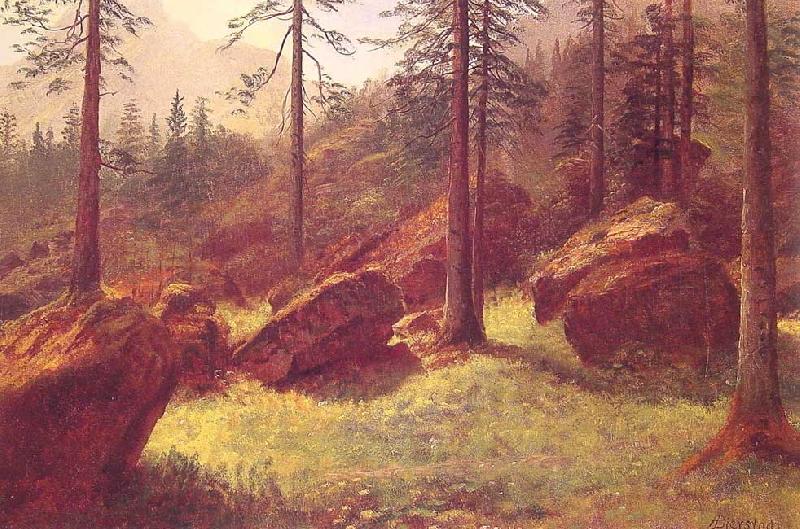 Albert Bierstadt Wooded Landscape France oil painting art